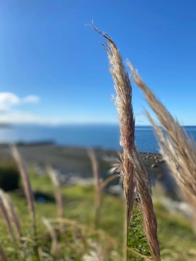 Puerto Montt